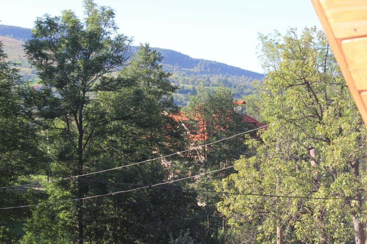 Гостевой дом Goryanka Яремче-21