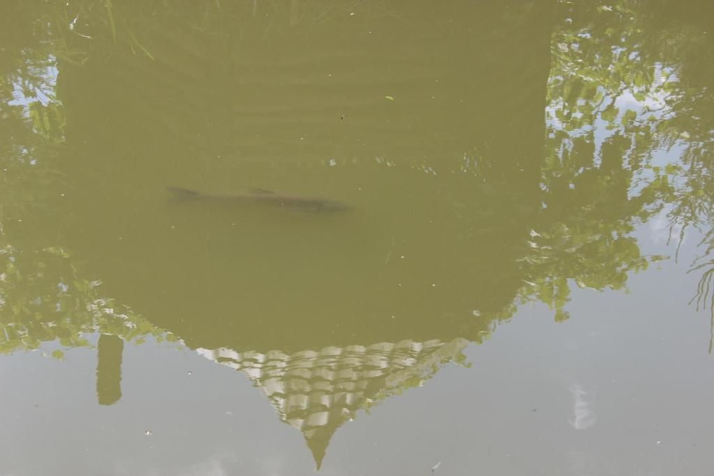 Гостевой дом Goryanka Яремче-49