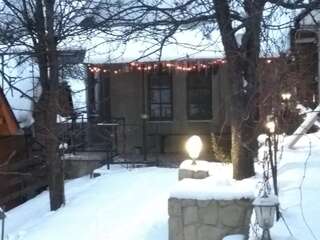 Гостевой дом Goryanka Яремче Вилла с видом на сад-9