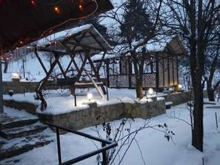 Гостевой дом Goryanka Яремче Вилла с видом на сад-14