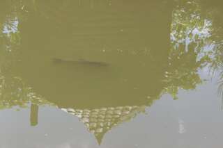 Гостевой дом Goryanka Яремче Вилла с видом на сад-18