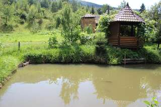 Гостевой дом Goryanka Яремче Вилла с видом на сад-24