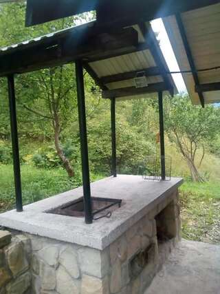 Гостевой дом Goryanka Яремче Вилла с видом на сад-34