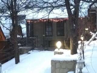 Гостевой дом Goryanka Яремче Вилла с видом на сад-41