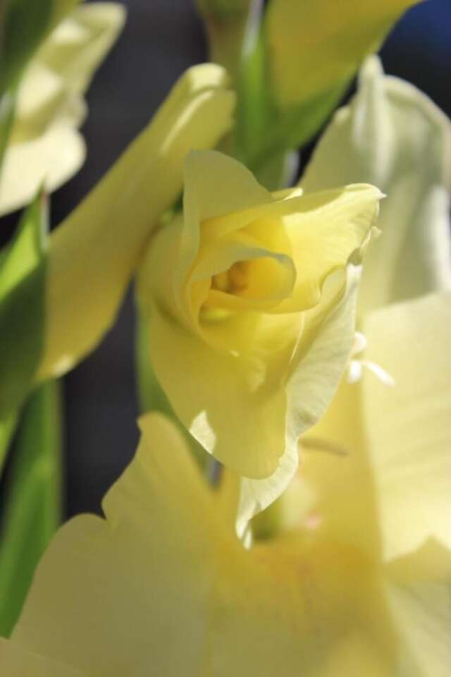 Гостевой дом Goryanka Яремче-13