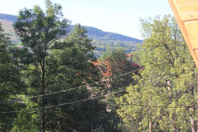 Гостевой дом Goryanka Яремче-20