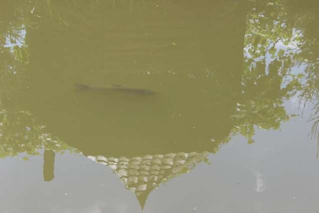 Гостевой дом Goryanka Яремче-48